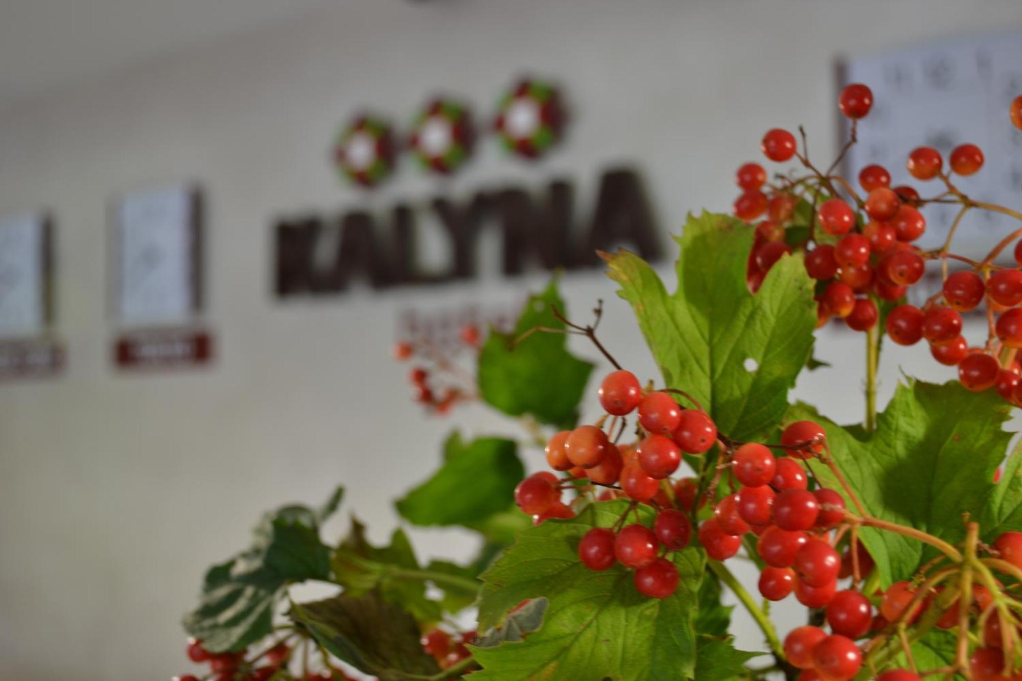 Hotel Kalyna Charkiw Exterior foto